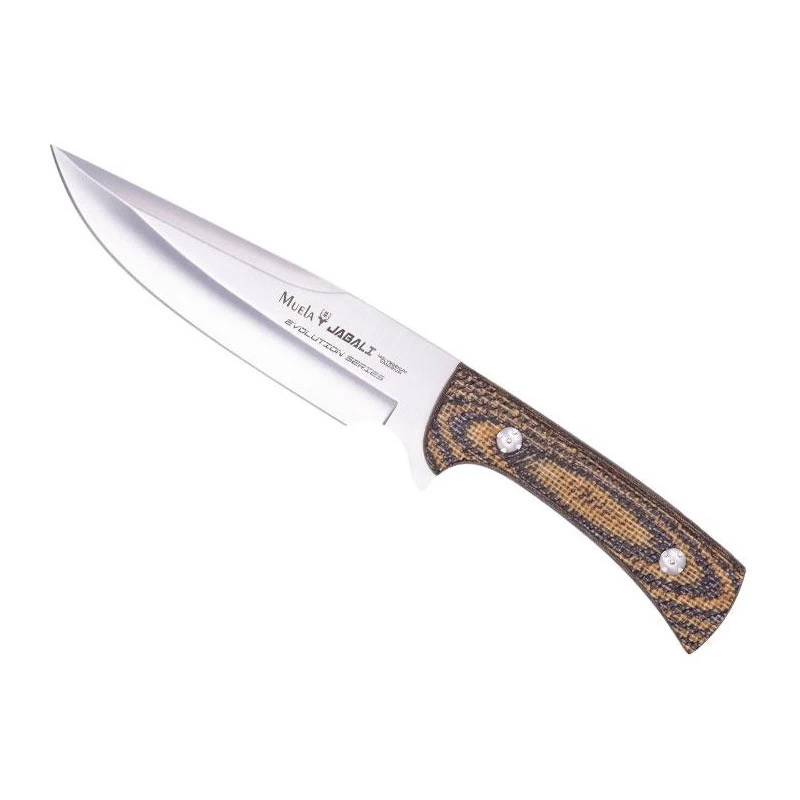 Poignard Muela Jabali Micarta Moutarde/marron 17cm Inox 1 Poignard Muela Jabali Micarta Moutarde/marron 17cm Inox